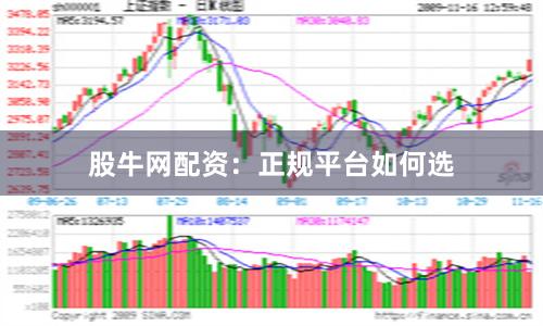 股牛网配资：正规平台如何选